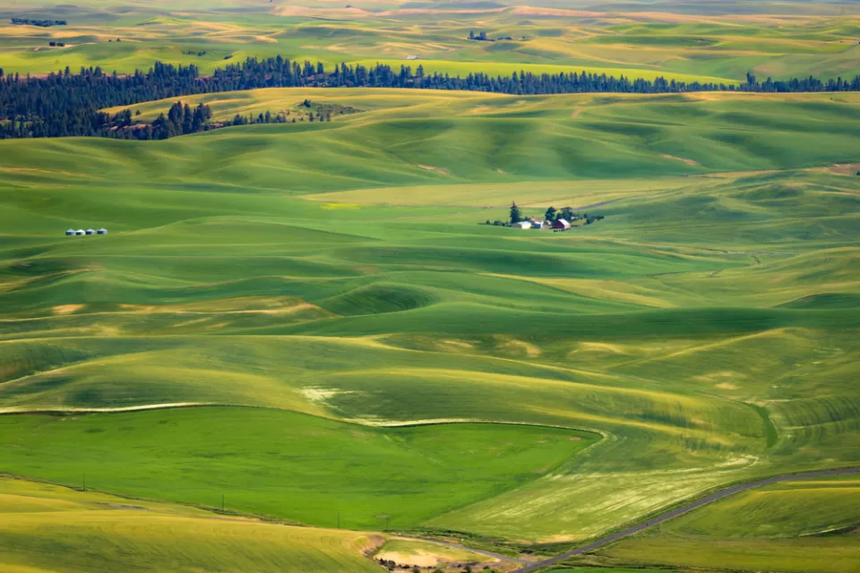 Steptoe Butte State Park